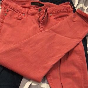 Liverpool jeans size 10